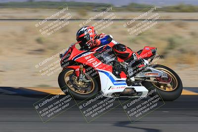 media/May-13-2023-SoCal Trackdays (Sat) [[8a473a8fd1]]/Turn 8 (740am)/